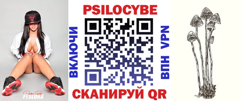 Галлюциногенные грибы Psilocybe  купить   Брюховецкая 